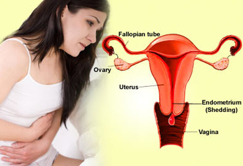 Các bệnh về tử cung thường gặp