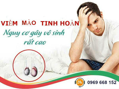 mao-tinh-hoan-co-cuc-cung